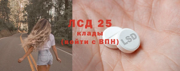 стаф Белокуриха