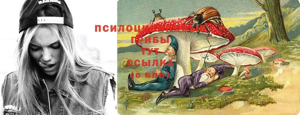 стафф Балахна