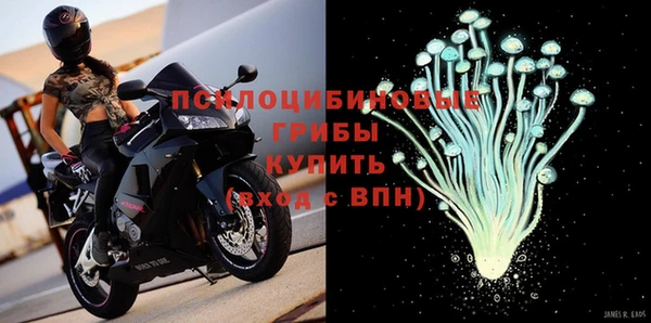 стаф Белокуриха